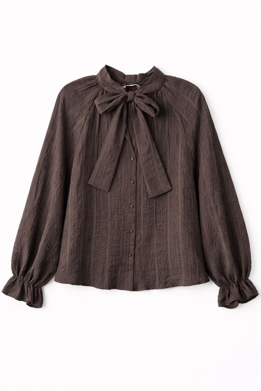 Yakası Bağlamalı Transparan Bluz Kahverengi