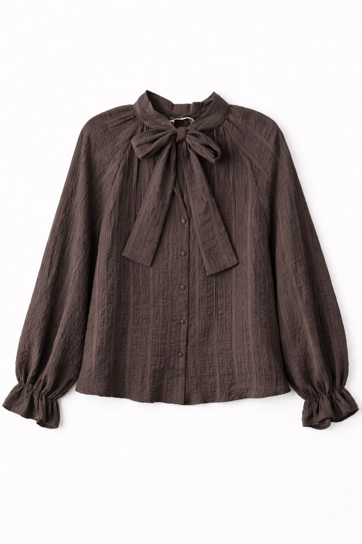 Yakası Bağlamalı Transparan Bluz Kahverengi