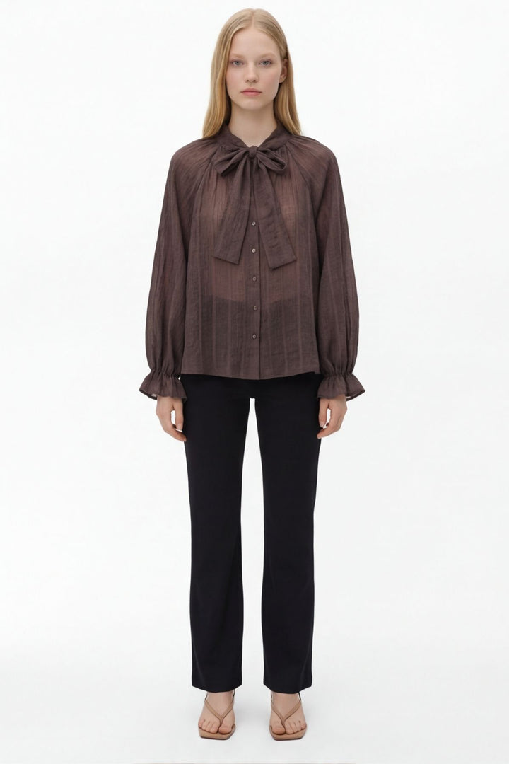 Yakası Bağlamalı Transparan Bluz Kahverengi