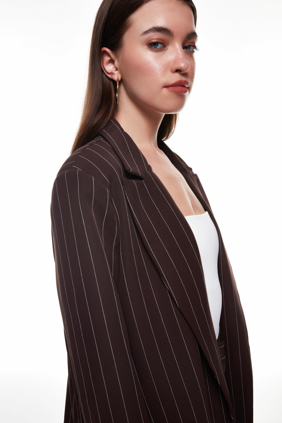Line Detailed Blazer Jacket Brown