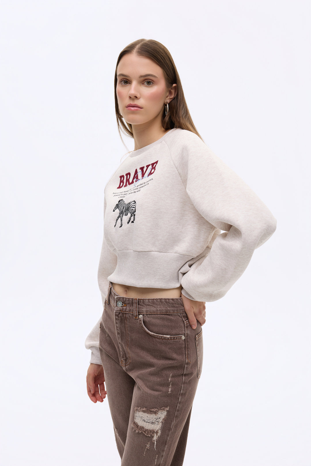 Zebra Nakışlı Sırtı Fermuarlı Sweatshirt Bej