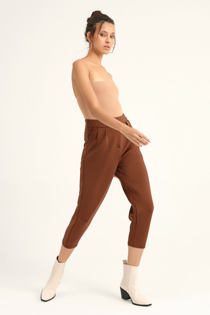Diving Fabric Pleated Trousers Brown