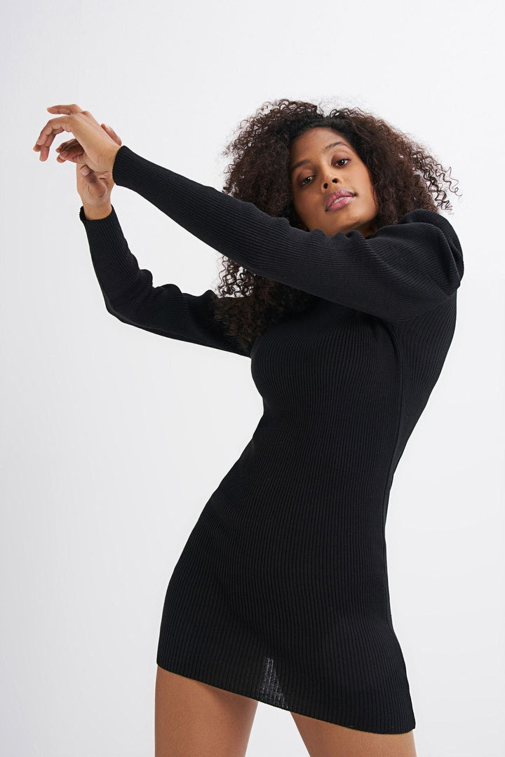 Turtleneck Watermelon Sleeve Knitwear Dress Black