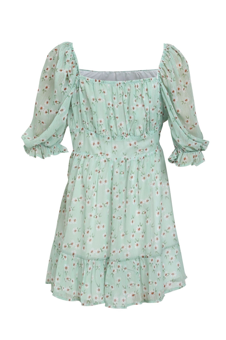 Karpuz Kol Elbise Mint