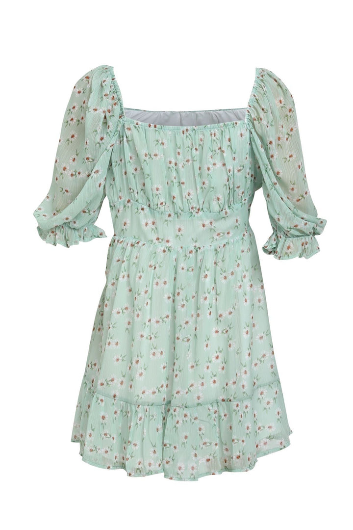 Karpuz Kol Elbise Mint