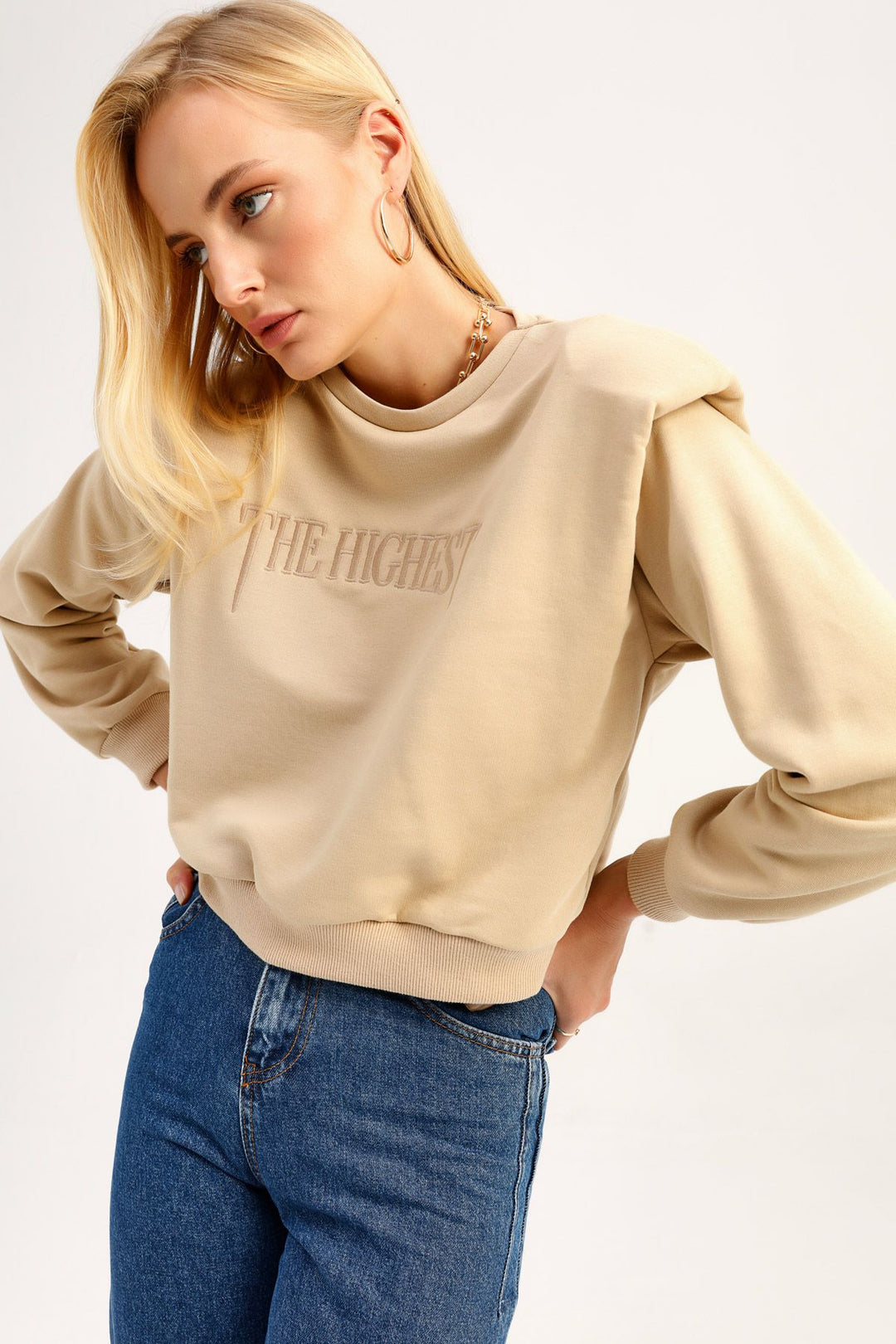Padded Embroidered Sweatshirt Dark Beige