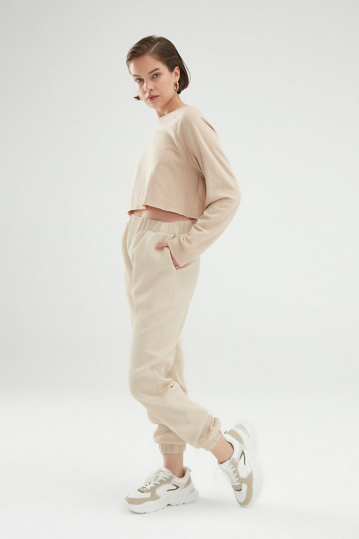 Roving Jogger Pants Beige