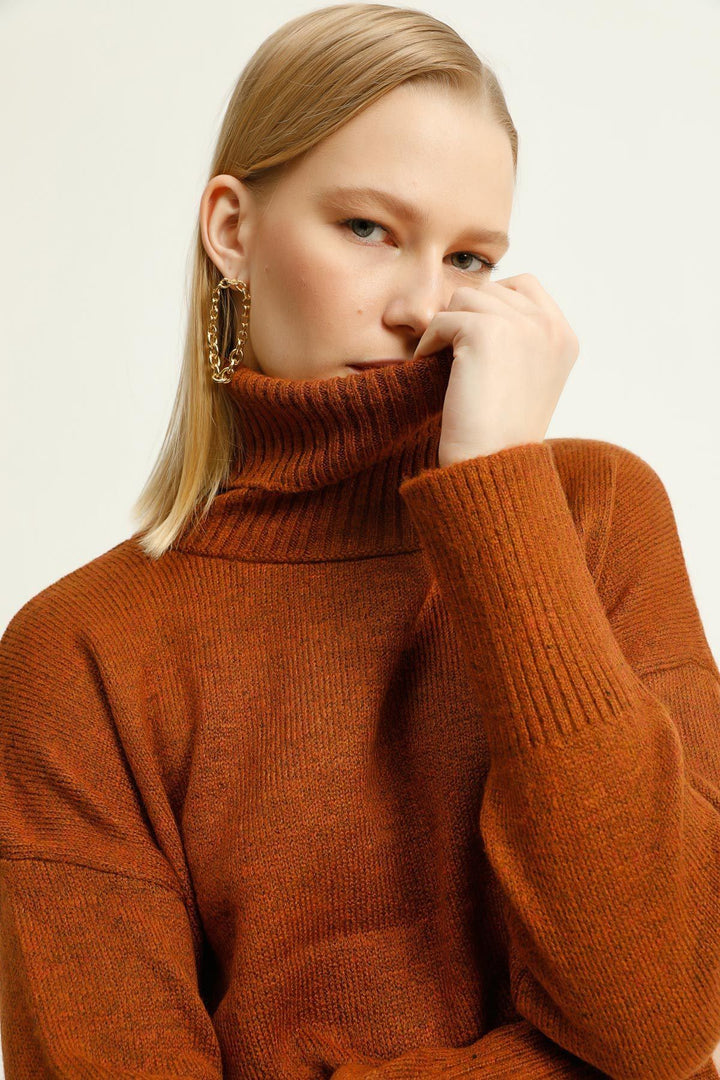 Turtleneck Loose Sweater Brown