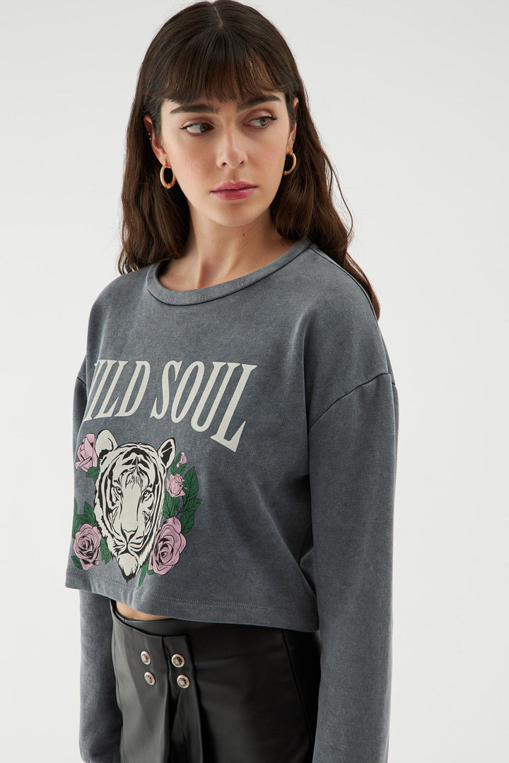 Low Back Crop Sweatshirt Anthracite